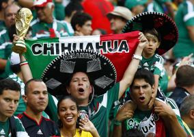фото мексиканских чихуахуа (c)Reuters