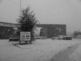 Мелвуд в снегу (c) Райан Бабел
